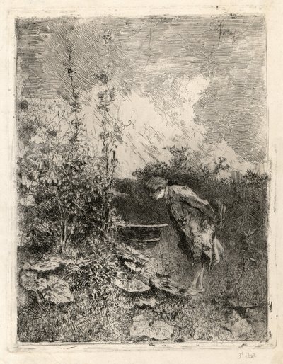 botanik autorstwa Marià Fortuny Marsal