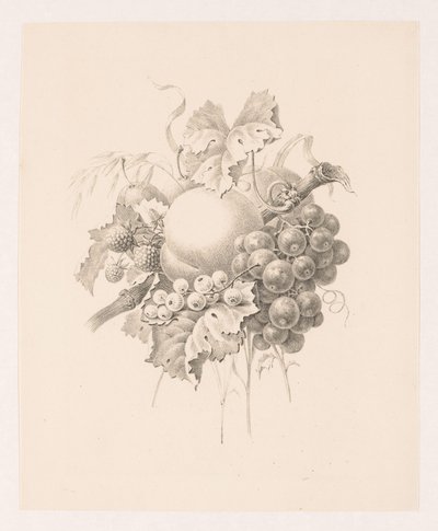 Kompozycja owocowa autorstwa Maria Geertruida de Goeje Barbiers (attributed to)