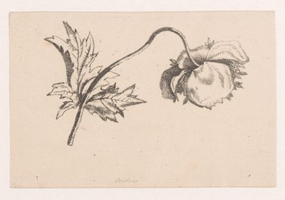 MAK autorstwa Maria Geertruida de Goeje Barbiers (attributed to)