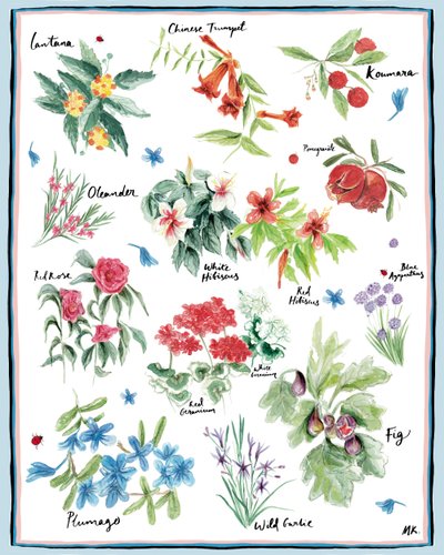 Ogród śródziemnomorski, 2019 r. autorstwa Marianna Kulukundis