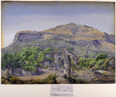 Champaneer, niedaleko Barody, Indie autorstwa Marianne North