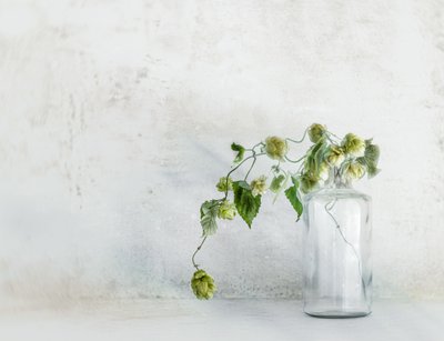  autorstwa Marie-anne Stas