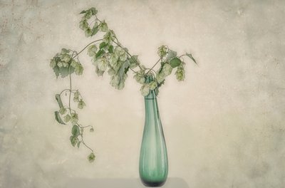 Martwa natura z zielonym chmielem autorstwa Marie-anne Stas