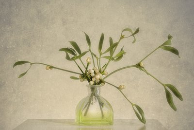 autorstwa Marie-anne Stas