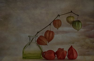 Ciche jesienne lampiony autorstwa Marie-anne Stas