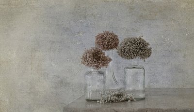  autorstwa Marie-anne Stas