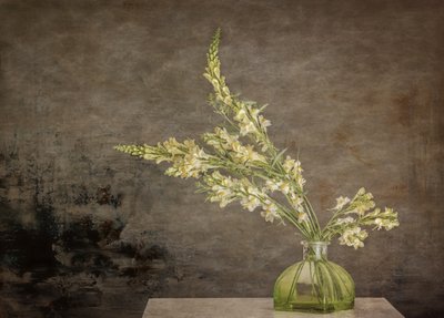 Rustykalna martwa natura z motywem kwiatowym autorstwa Marie-anne Stas