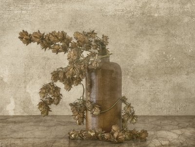 Rustykalna martwa natura z chmielem autorstwa Marie-anne Stas