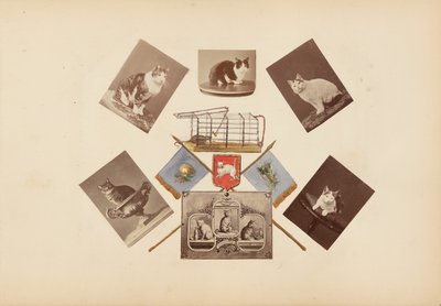 Album Madame B autorstwa Marie Blanche Hennelle Fournier