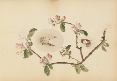 The Madame B Album   1273359   pl       polish Successfully Translated  Original: No. 39: Agematsu, from the series "Sixty-nine Stations of the Kisokaido (Kisokaido rokujukyu tsugi no uchi)" Translat: No. 39: Agematsu, from the series "Sixty-nine Stations  autorstwa Marie Blanche Hennelle Fournier