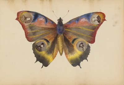 Album Madame B autorstwa Marie Blanche Hennelle Fournier
