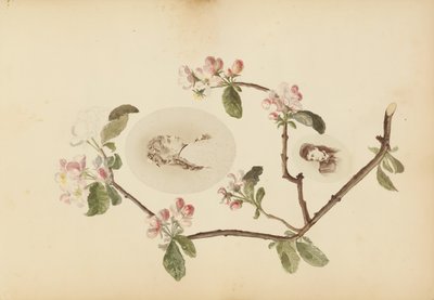 Album Madame B, lata 70. XIX wieku. autorstwa Marie Blanche Hennelle Fournier