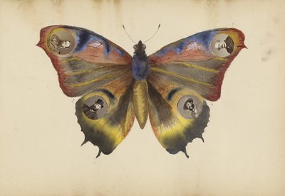 Album Madame B, lata 70. XIX wieku autorstwa Marie Blanche Hennelle Fournier