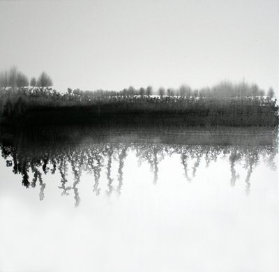 Monochromatyczne odbicie lasu autorstwa Marina Nelson