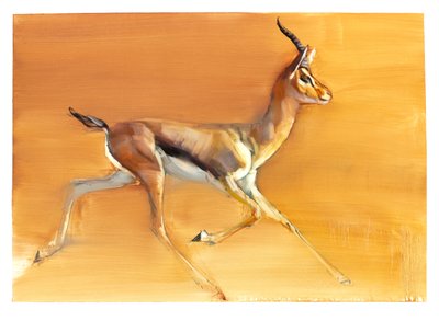 Gazela arabska, 2010 (olej na papierze) autorstwa Mark Adlington