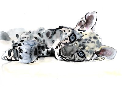 Arabian Leopard Cub, 2008 autorstwa Mark Adlington