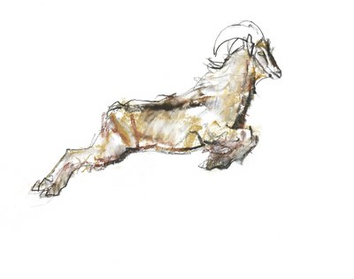 Arabian Tahr, 2009 (conte i węgiel na papierze) autorstwa Mark Adlington