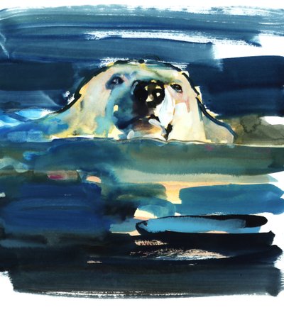Arctic Swim, 2016, (akwarela na papierze) autorstwa Mark Adlington