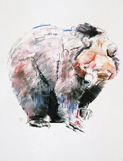 Niedźwiedź (węgiel i conte na papierze) autorstwa Mark Adlington