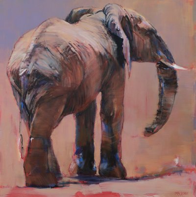 Za, Loisaba, 2018 autorstwa Mark Adlington