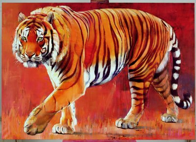 Tygrys bengalski autorstwa Mark Adlington