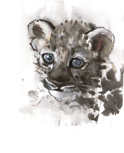 Niebieskie Oczy (Cub lamparta arabskiego), 2008 autorstwa Mark Adlington