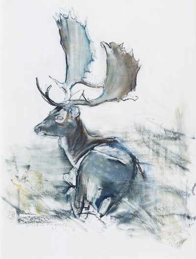 Buck in the Grass, 2006 (węgiel i conte na papierze) autorstwa Mark Adlington