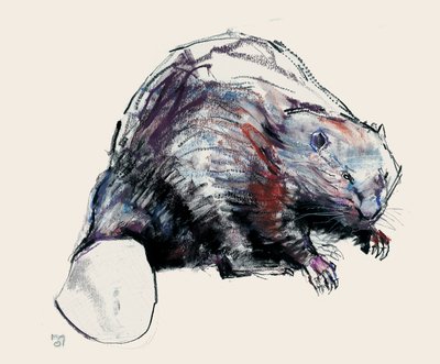 Castor Fiber, 2001 (węgiel drzewny i conte na papierze) autorstwa Mark Adlington