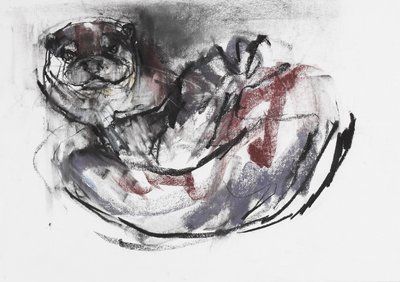Pies Wydra (węgiel i conte na papierze) autorstwa Mark Adlington