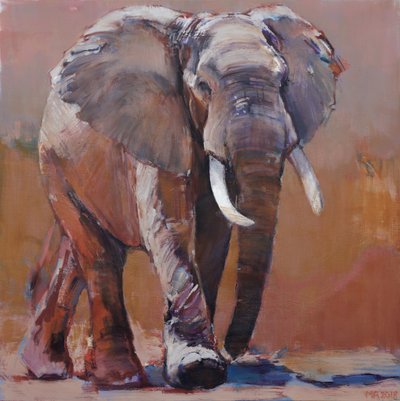 Pora sucha, Loisaba, 2018 autorstwa Mark Adlington