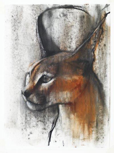 Egipski (karakal arabski), 2009 (conte und węgiel na papierze) autorstwa Mark Adlington