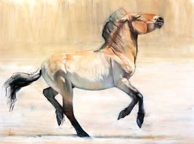 Equus (Przewalski), 2014, (pastel i węgiel na papierze) autorstwa Mark Adlington