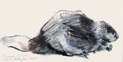 Europejski bóbr (badanie) 2001 (węgiel i conte na papierze) autorstwa Mark Adlington