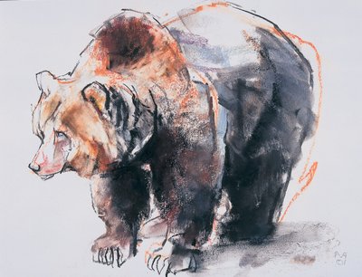 Europejski niedźwiedź brunatny, 2001 (węgiel i conte na papierze) autorstwa Mark Adlington