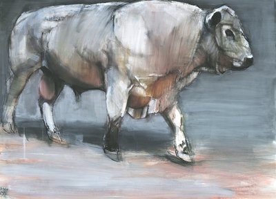 Fresno, Galloway Bull (media mieszane na papierze) autorstwa Mark Adlington