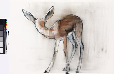 Płowa Gazela (Gazela Arabska) 2010 (olej na papierze) autorstwa Mark Adlington