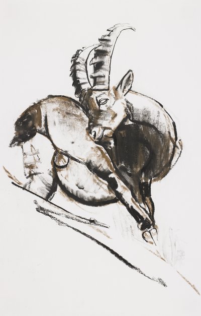 Drapanie (węgiel i conte na papierze) autorstwa Mark Adlington
