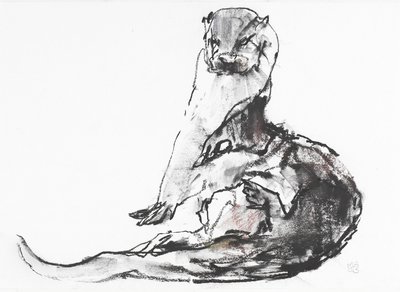 Lutra lutra (węgiel i conte na papierze) autorstwa Mark Adlington