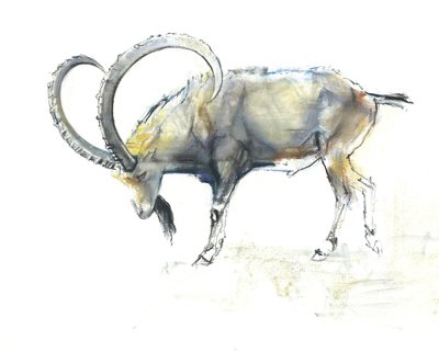 Koziorożec nubijski, 2008 (konta i węgiel na papierze) autorstwa Mark Adlington