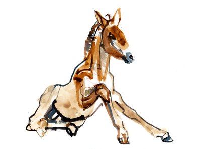 Ochre Foal (Przewalski), 2013 (tusz Sennelier, akwarela i gwasz) autorstwa Mark Adlington