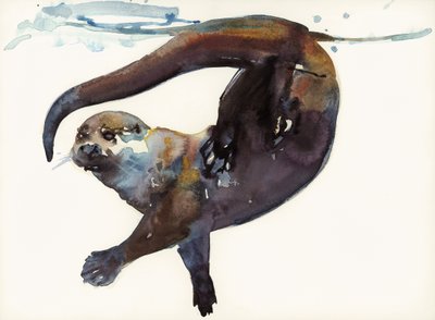 Studium Wydry II – „Talisker” autorstwa Mark Adlington