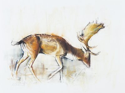 Pisanello Buck, 2006 (węgiel i conte na papierze) autorstwa Mark Adlington