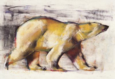 Niedźwiedź polarny (media mieszane na papierze) autorstwa Mark Adlington