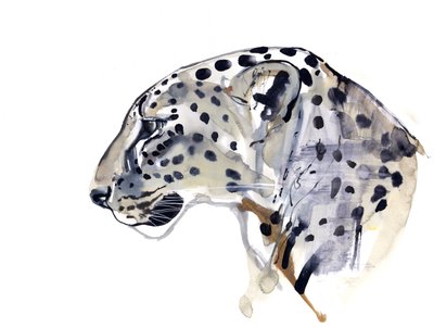Profil (Lampart Arabski), 2008 autorstwa Mark Adlington