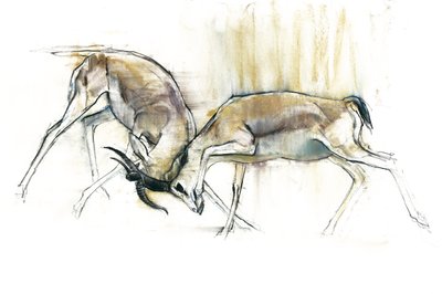 Gazele Piasku, 2009 (conte i węgiel na papierze) autorstwa Mark Adlington