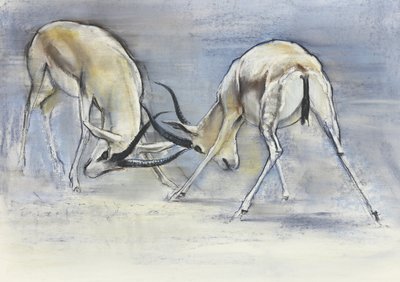 Gazele Piasku, 2009 (conte i węgiel na papierze) autorstwa Mark Adlington