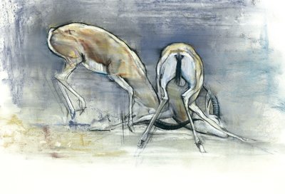 Gazele Piasku, 2009 (conte i węgiel na papierze) autorstwa Mark Adlington