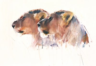 Siostry, Etosha, 2017 autorstwa Mark Adlington