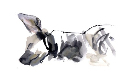 Śpiąca hiena, 2010, (akwarela na papierze) autorstwa Mark Adlington