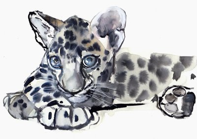 Spotty (lampart arabski), 2008 autorstwa Mark Adlington
